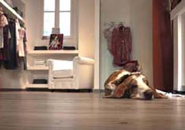 LEGNANO - ABBIGLIAMENTO GALLERY