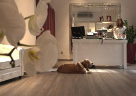 LEGNANO - ABBIGLIAMENTO GALLERY