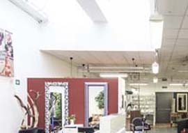 LO SHOW ROOM
